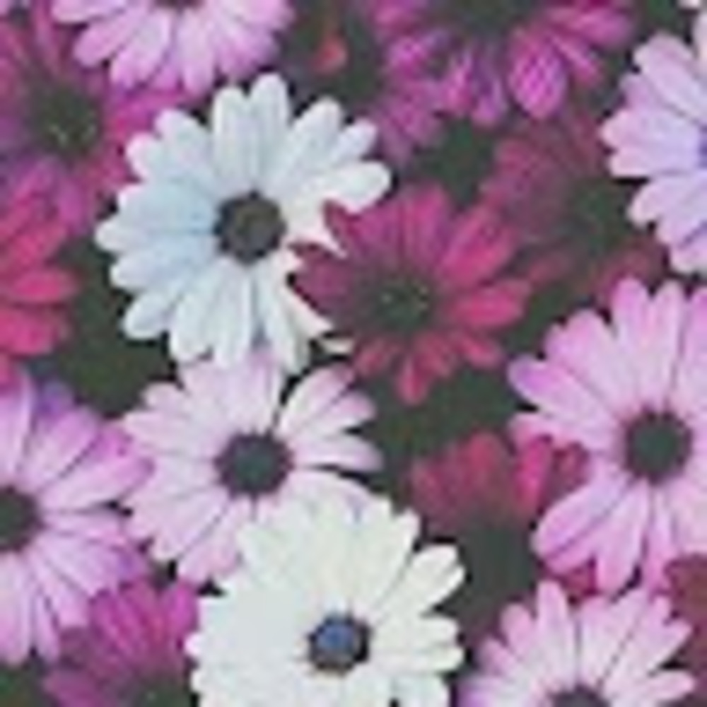 Meet your Posher, Caylee